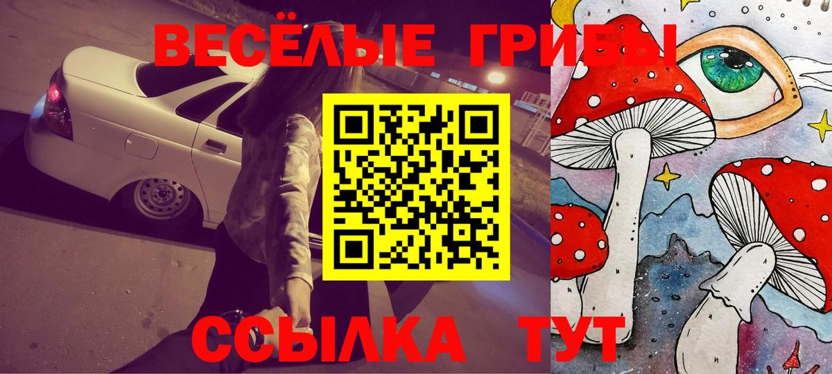 Балабаново  Псилоцибиновые грибы MAGIC MUSHROOMS  Вход с VPN 